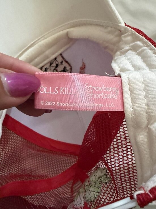 Dolls Kill X Strawberry Shortcake Embroidered Trucker Hat NWOT main image 4